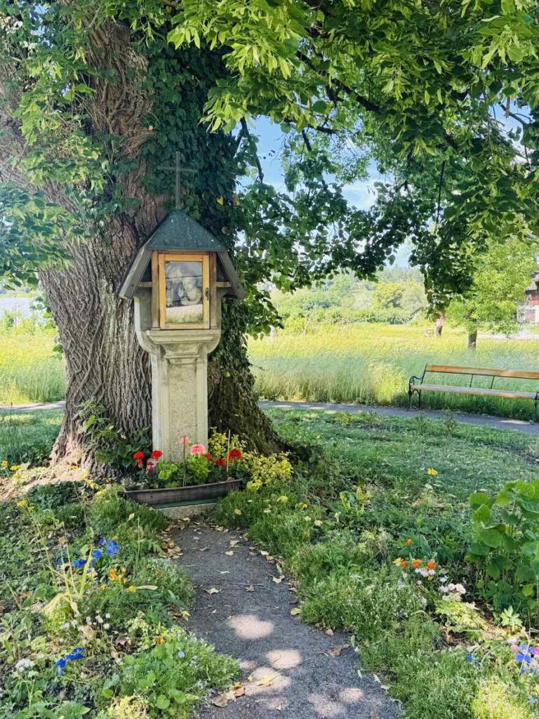 Garten des Mutterhauses