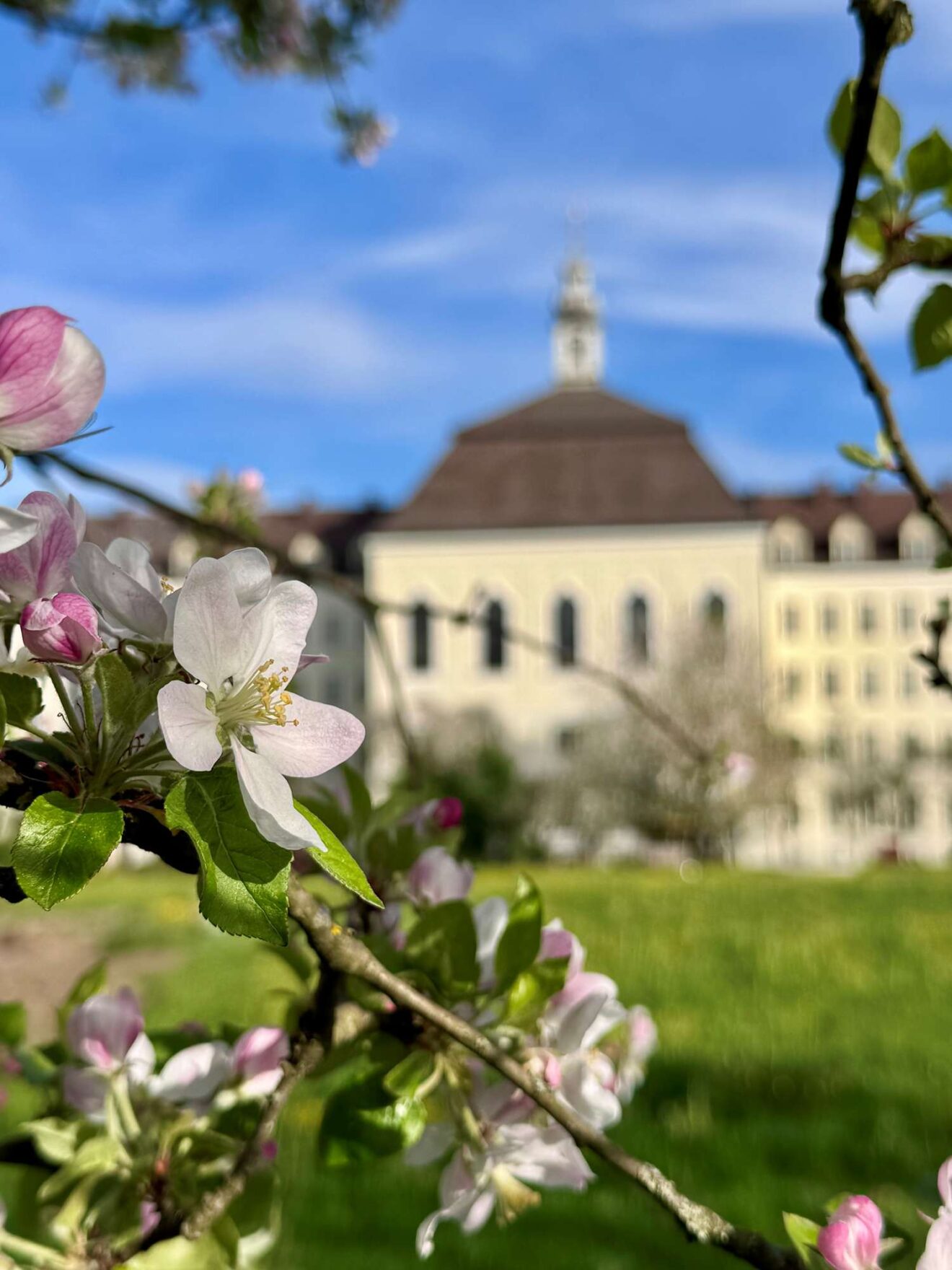 Blühender Garten vor dem Mutterhaus